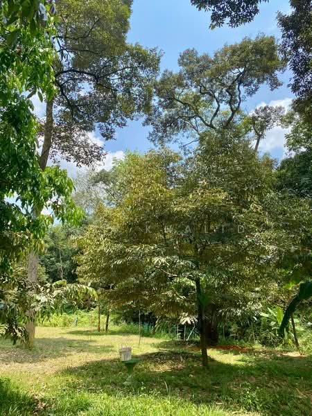 Tanah Pertanian untuk Dijual di Sungai Merab (Dengkil) - Liza Khalid - PropertyGuru.com.my