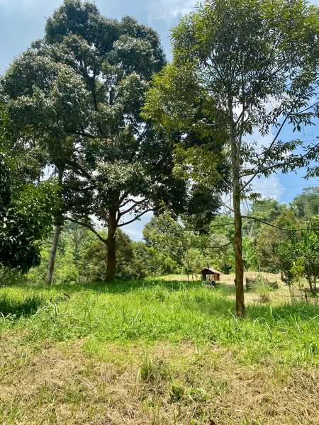 Tanah Pertanian untuk Dijual di Sungai Merab (Dengkil) - Liza Khalid - PropertyGuru.com.my