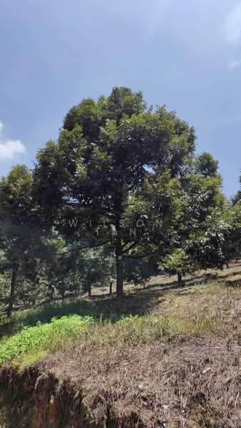 Agricultural Land for Sale in Bandar Bukit Mahkota (Bangi) - Wilson Tan - Exterior - PropertyGuru.com.my