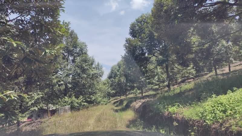 Agricultural Land for Sale in Bandar Bukit Mahkota (Bangi) - Wilson Tan - Garden - PropertyGuru.com.my