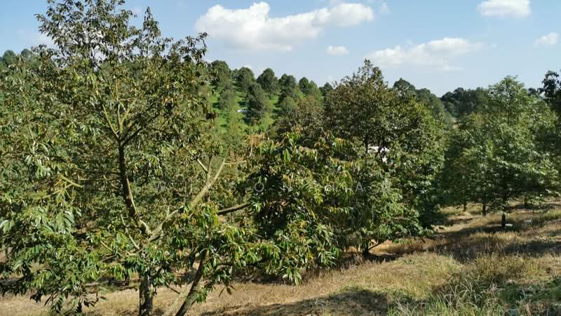 Agricultural Land for Sale in Bandar Bukit Mahkota (Bangi) - Wilson Tan - Exterior - PropertyGuru.com.my