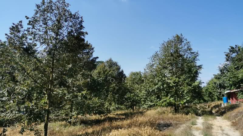 Agricultural Land for Sale in Bandar Bukit Mahkota (Bangi) - Wilson Tan - Exterior - PropertyGuru.com.my