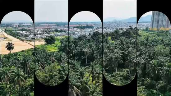 Agricultural Land for Sale in Bandar Seri Botani (Ipoh) - Lee Muzi - PropertyGuru.com.my