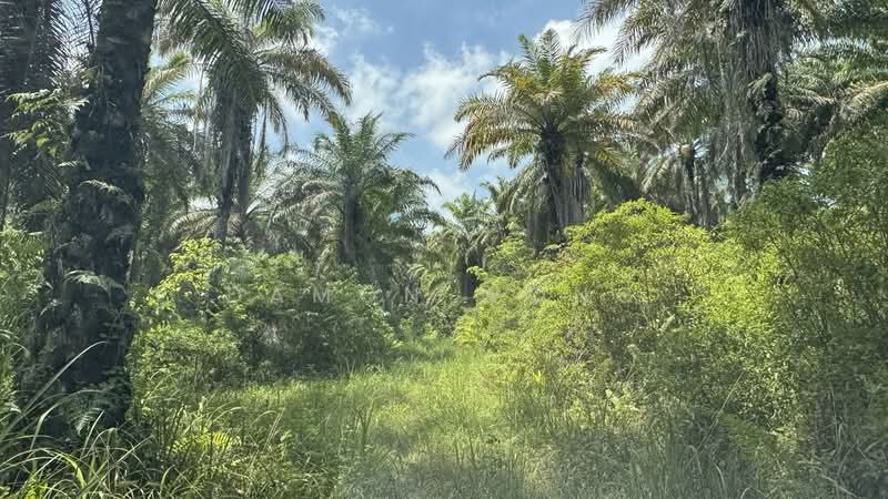 Tanah Pertanian untuk Dijual di Raub (Pahang) - Damon Wong - Exterior - PropertyGuru.com.my
