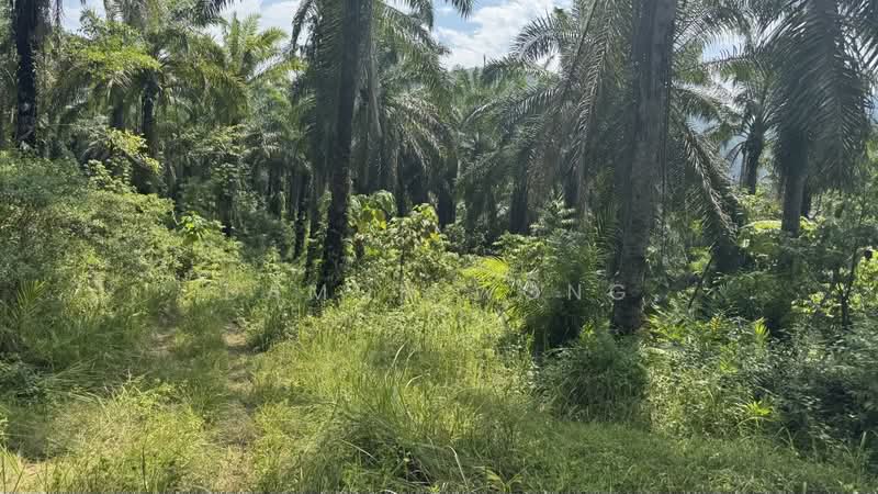 Tanah Pertanian untuk Dijual di Raub (Pahang) - Damon Wong - Exterior - PropertyGuru.com.my