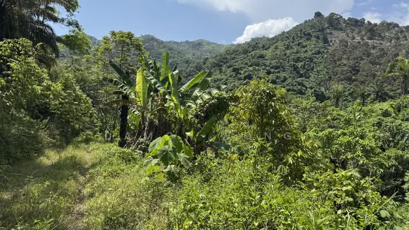 Tanah Pertanian untuk Dijual di Raub (Pahang) - Damon Wong - PropertyGuru.com.my