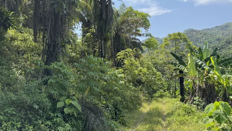 Tanah Pertanian untuk Dijual di Raub (Pahang) - Damon Wong - Exterior - PropertyGuru.com.my