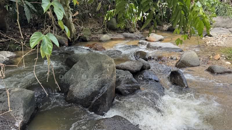 Tanah Pertanian untuk Dijual di Raub (Pahang) - Damon Wong - PropertyGuru.com.my