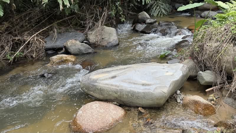 Tanah Pertanian untuk Dijual di Raub (Pahang) - Damon Wong - PropertyGuru.com.my