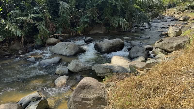 Tanah Pertanian untuk Dijual di Raub (Pahang) - Damon Wong - Exterior - PropertyGuru.com.my