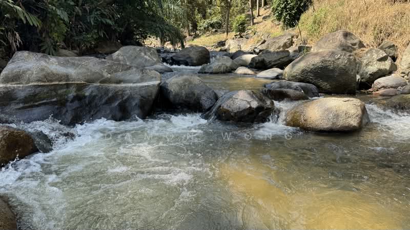 Tanah Pertanian untuk Dijual di Raub (Pahang) - Damon Wong - Exterior - PropertyGuru.com.my