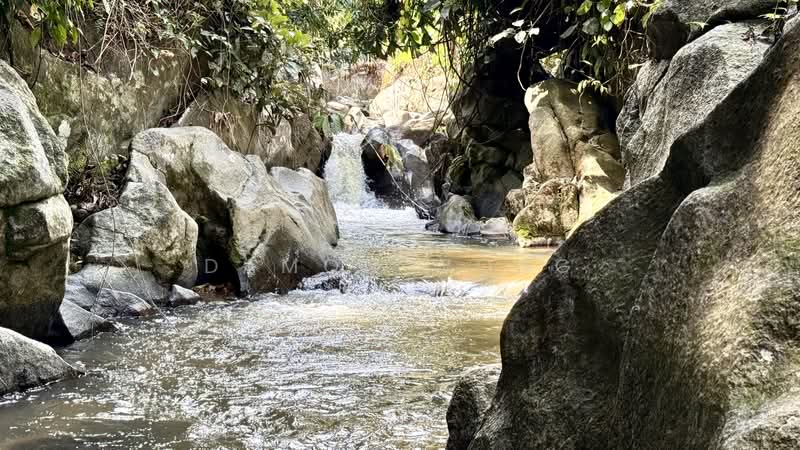 Tanah Pertanian untuk Dijual di Raub (Pahang) - Damon Wong - Exterior - PropertyGuru.com.my