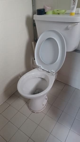 Pangsapuri untuk Dijual di Puteri Court - Chen Yu Leong(Leon) - Bathroom - PropertyGuru.com.my