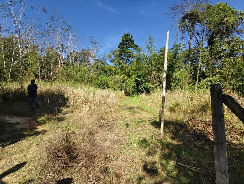 Tanah Pertanian untuk Dijual di Naka (Padang Terap) - Faliyana binti Muda - PropertyGuru.com.my