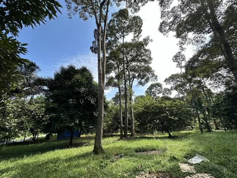 Agricultural Land for Sale in Bangi (Selangor) - Sue Ahmad - Exterior - PropertyGuru.com.my