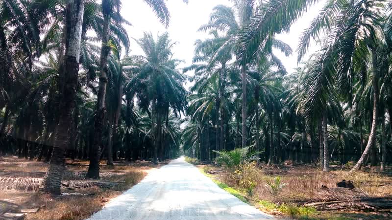 Tanah Perindustrian untuk Dijual di Ijok (Selangor) - Wendy Ng - PropertyGuru.com.my