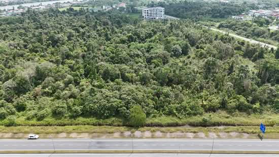 Tanah Pertanian untuk Dijual di Sungai Maong (Kuching) - Sherene Kok - PropertyGuru.com.my