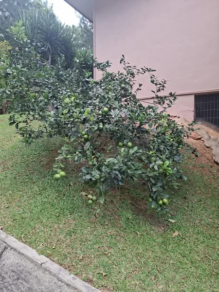 Bungalow for Sale in Taman Puncak Rimba (Bentong) - Shirley Sai - PropertyGuru.com.my