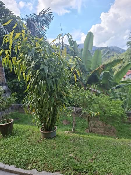 Bungalow for Sale in Taman Puncak Rimba (Bentong) - Shirley Sai - PropertyGuru.com.my