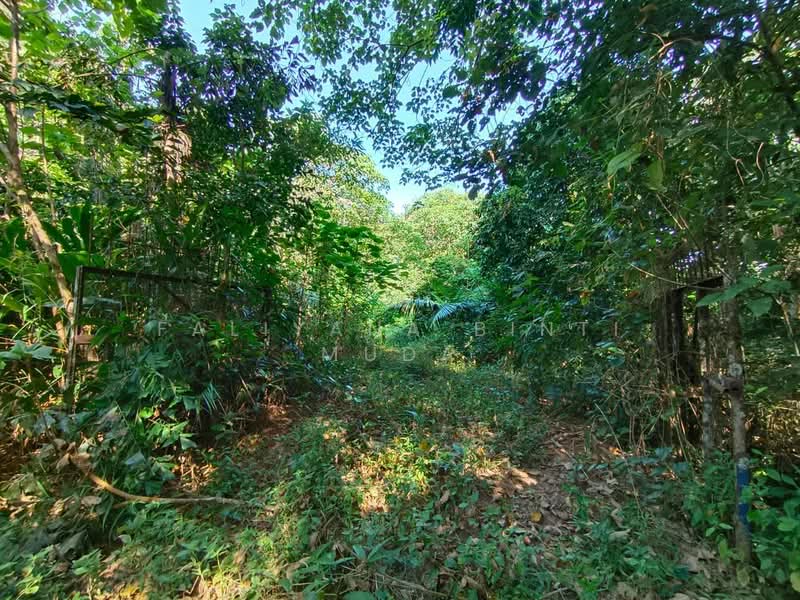 Agricultural Land for Sale in Taman Kaki Bukit (Titi Tinggi) - Faliyana binti Muda - PropertyGuru.com.my