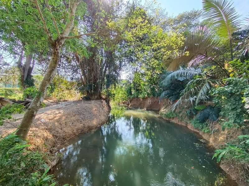 Agricultural Land for Sale in Taman Kaki Bukit (Titi Tinggi) - Faliyana binti Muda - PropertyGuru.com.my