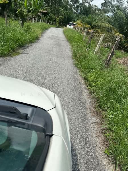 Agricultural Land for Sale in Kampar (Perak) - Marcus Seng - Exterior - PropertyGuru.com.my