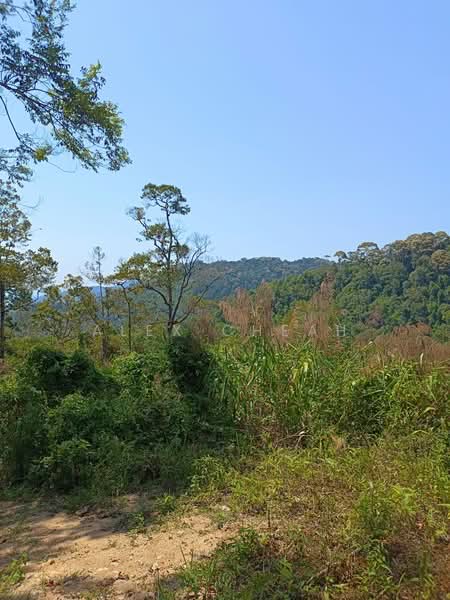 Tanah Pertanian untuk Dijual di Ayer Itam (Penang) - Alex Cheah - Exterior - PropertyGuru.com.my