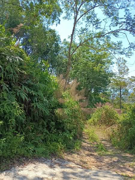 Tanah Pertanian untuk Dijual di Ayer Itam (Penang) - Alex Cheah - Exterior - PropertyGuru.com.my