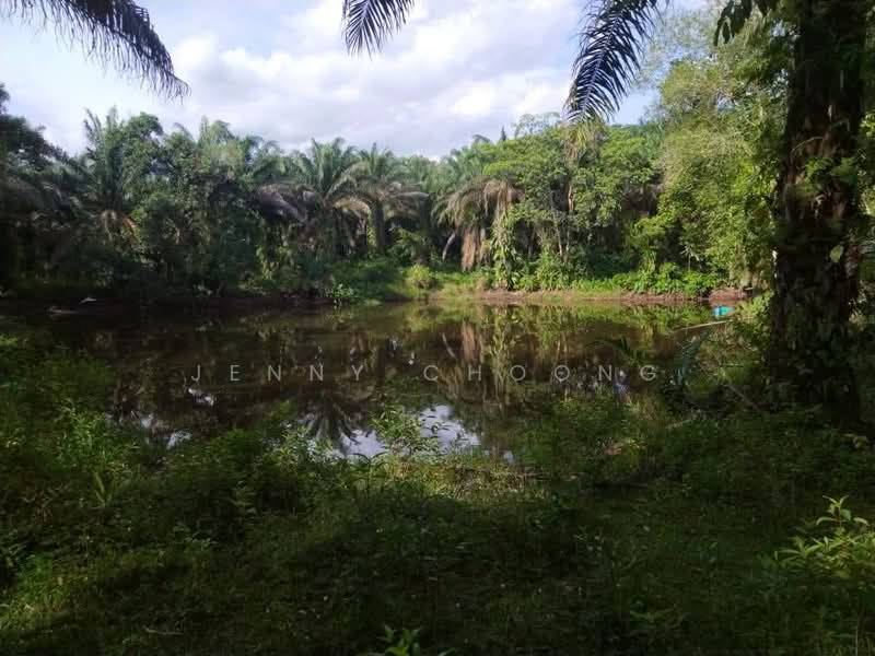 Agricultural Land for Sale in Bidor (Perak) - Jenny Choong - Exterior - PropertyGuru.com.my