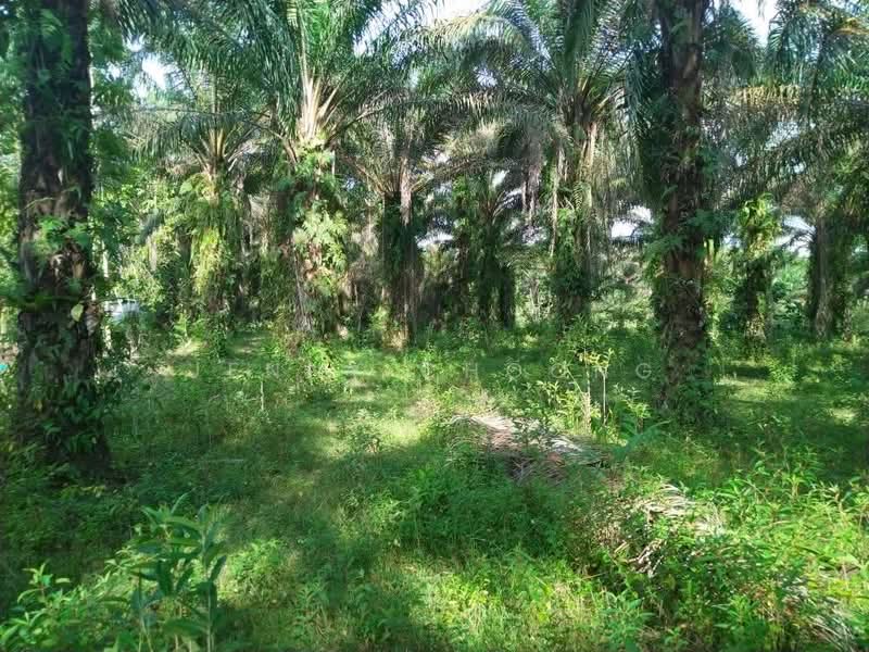 Agricultural Land for Sale in Bidor (Perak) - Jenny Choong - Exterior - PropertyGuru.com.my