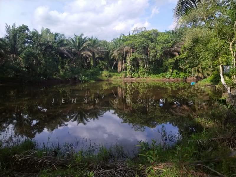 Agricultural Land for Sale in Bidor (Perak) - Jenny Choong - Exterior - PropertyGuru.com.my