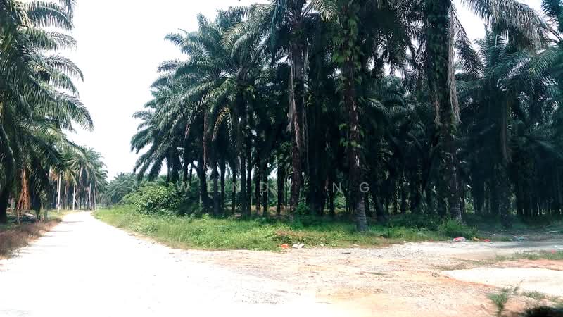 Tanah Perindustrian untuk Dijual di Ijok (Selangor) - Wendy Ng - Exterior - PropertyGuru.com.my