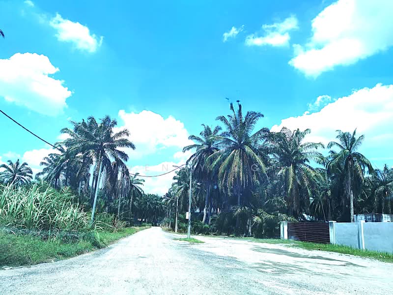 Tanah Perindustrian untuk Dijual di Ijok (Selangor) - Wendy Ng - PropertyGuru.com.my