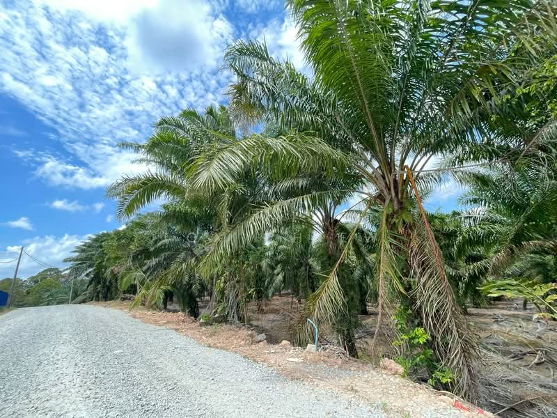 Tanah Kediaman untuk Dijual di Taman Pulai Jaya (Kulai) - Tom Chiew - Exterior - PropertyGuru.com.my
