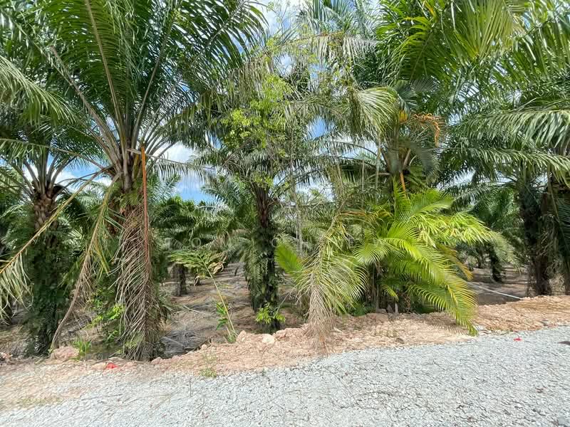 Tanah Kediaman untuk Dijual di Taman Pulai Jaya (Kulai) - Tom Chiew - Exterior - PropertyGuru.com.my