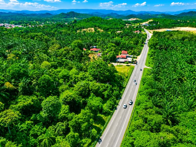 Tanah Pertanian untuk Dijual di Tawar (Kedah) - Derrick Ng - Exterior - PropertyGuru.com.my