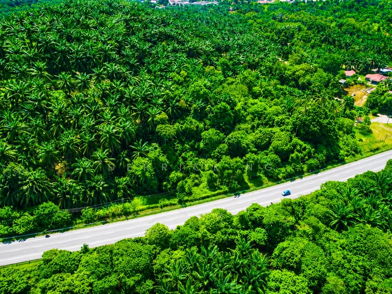 Tanah Pertanian untuk Dijual di Tawar (Kedah) - Derrick Ng - Exterior - PropertyGuru.com.my