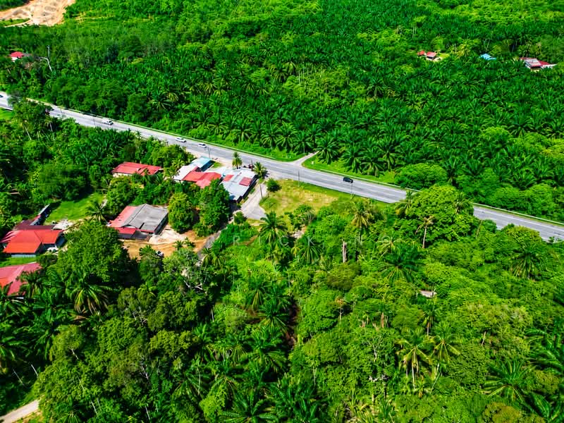 Tanah Pertanian untuk Dijual di Tawar (Kedah) - Derrick Ng - Exterior - PropertyGuru.com.my