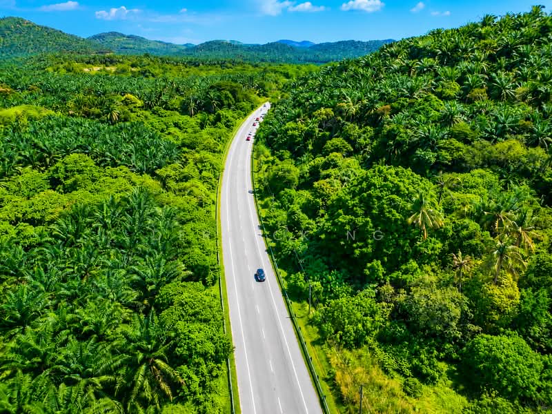 Tanah Pertanian untuk Dijual di Tawar (Kedah) - Derrick Ng - Exterior - PropertyGuru.com.my