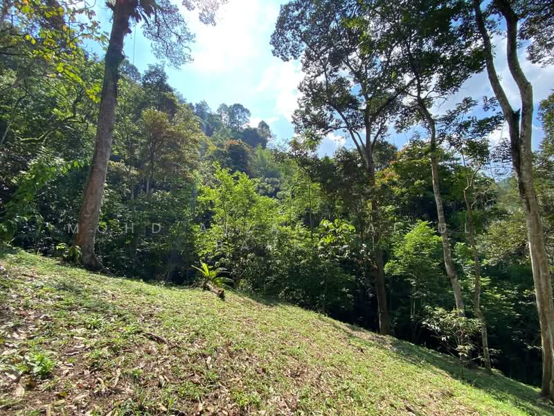Tanah Pertanian untuk Dijual di Kampung Dusun Tua (Hulu Langat) - Mohd Aizat Saiful Bahri - PropertyGuru.com.my