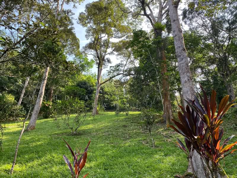 Tanah Pertanian untuk Dijual di Kampung Dusun Tua (Hulu Langat) - Mohd Aizat Saiful Bahri - PropertyGuru.com.my