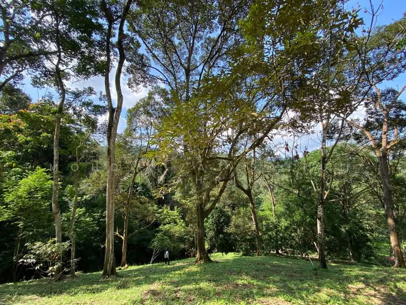 Tanah Pertanian untuk Dijual di Kampung Dusun Tua (Hulu Langat) - Mohd Aizat Saiful Bahri - PropertyGuru.com.my