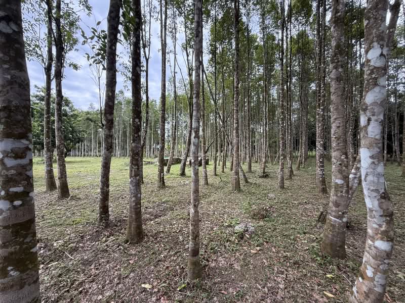 Tanah Pertanian untuk Dijual di Broga (Lenggeng) - Steven Tay - Exterior - PropertyGuru.com.my