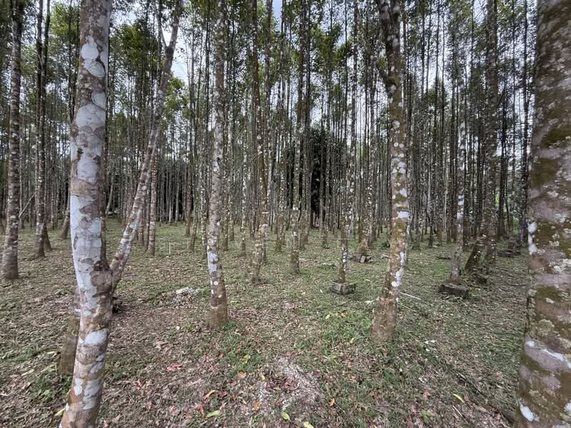 Tanah Pertanian untuk Dijual di Broga (Lenggeng) - Steven Tay - Exterior - PropertyGuru.com.my