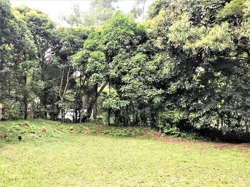 Bungalow for Rent in Tropicana (Selangor) - Bryant Be - Garden - PropertyGuru.com.my