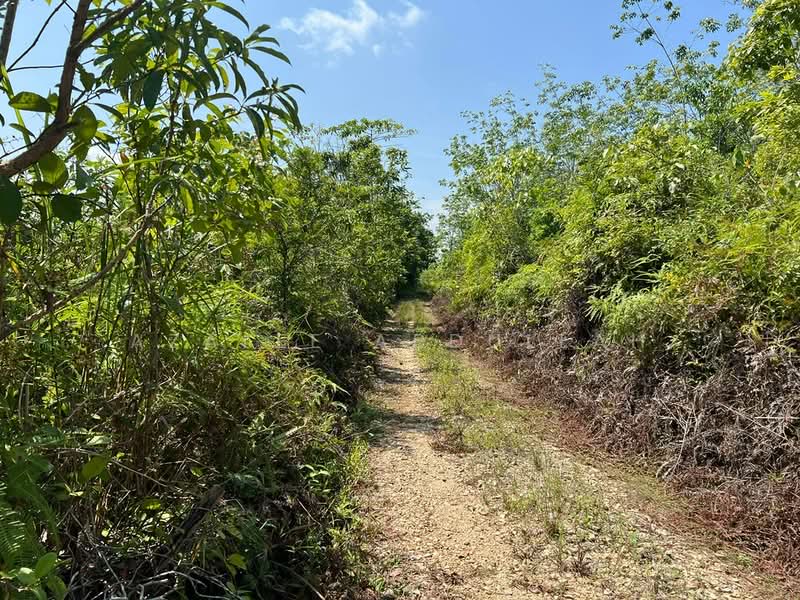 Agricultural Land for Sale in Temerloh (Pahang) - Azalee Abdullah - Exterior - PropertyGuru.com.my