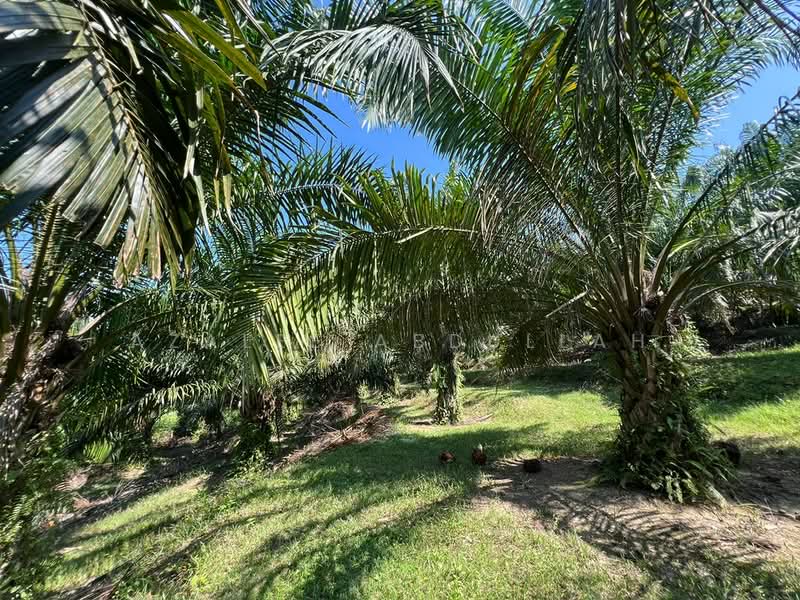 Agricultural Land for Sale in Temerloh (Pahang) - Azalee Abdullah - Exterior - PropertyGuru.com.my