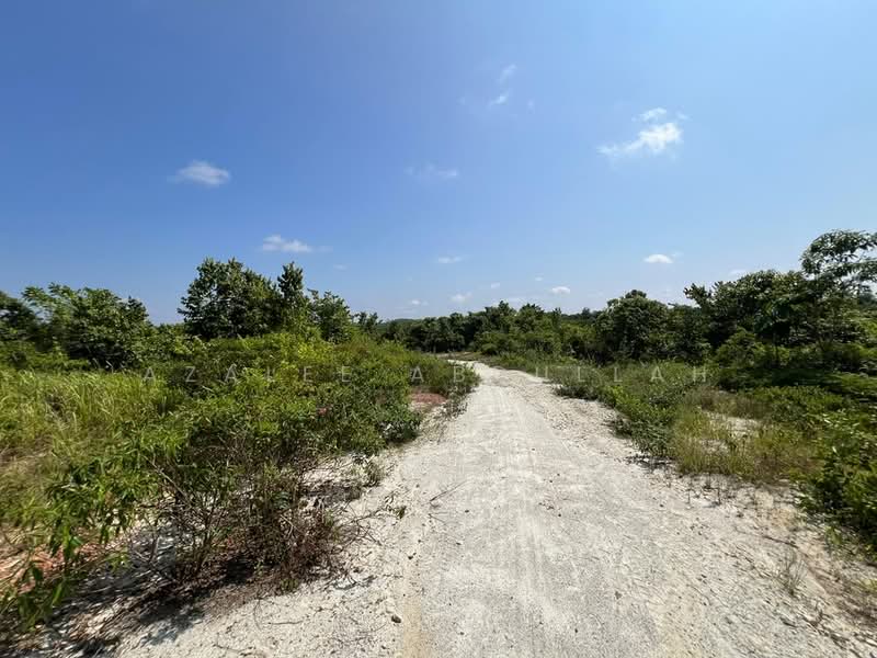 Agricultural Land for Sale in Temerloh (Pahang) - Azalee Abdullah - Exterior - PropertyGuru.com.my