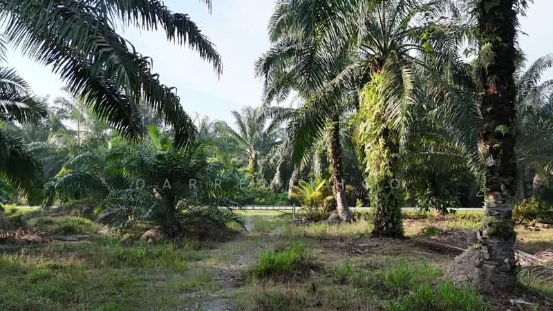 Tanah Perindustrian untuk Dijual di Jenjarom (Selangor) - Darren Khoo - Exterior - PropertyGuru.com.my