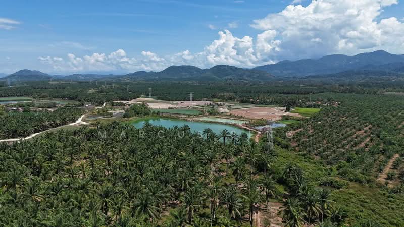 Tanah Pertanian untuk Dijual di Chemor (Perak) - Marcus Seng - PropertyGuru.com.my